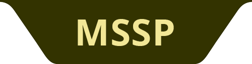 Managed Security </br>Service Provider 